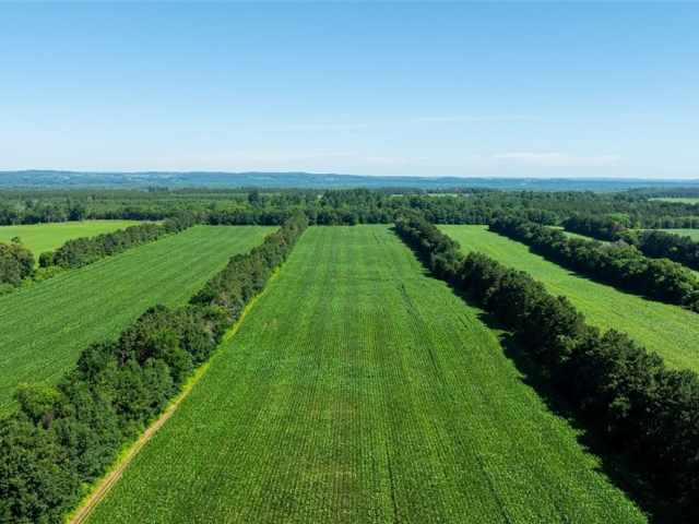 Durand Land Real Estate