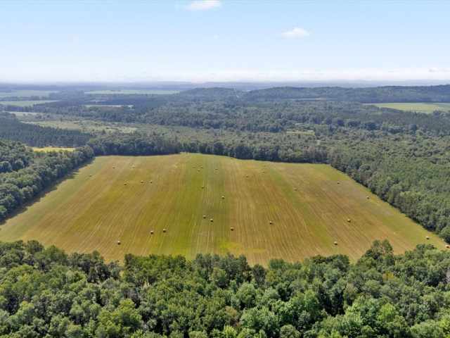 Wheeler Land Real Estate