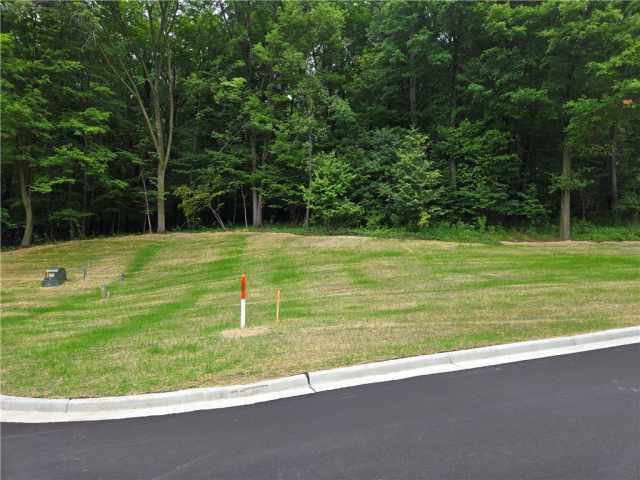Boyceville Land Real Estate