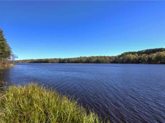 Winter Residential Real Estate