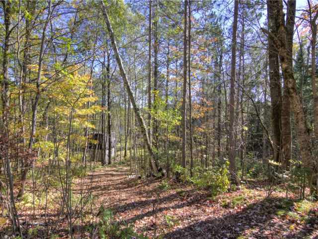 Winter Residential Real Estate