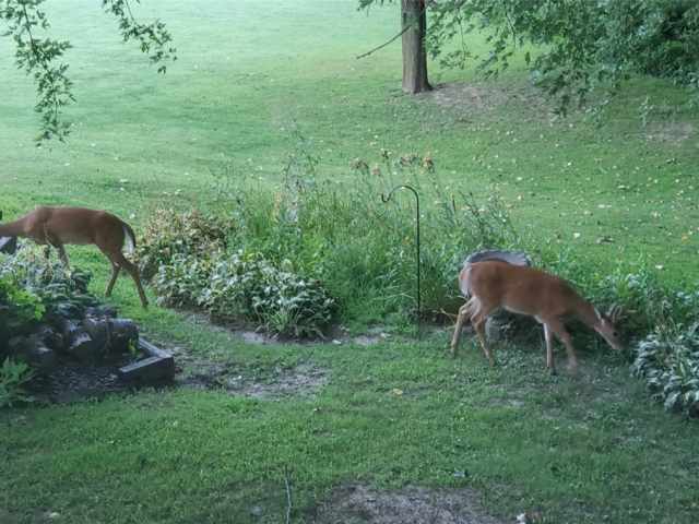 Menomonie Residential Real Estate