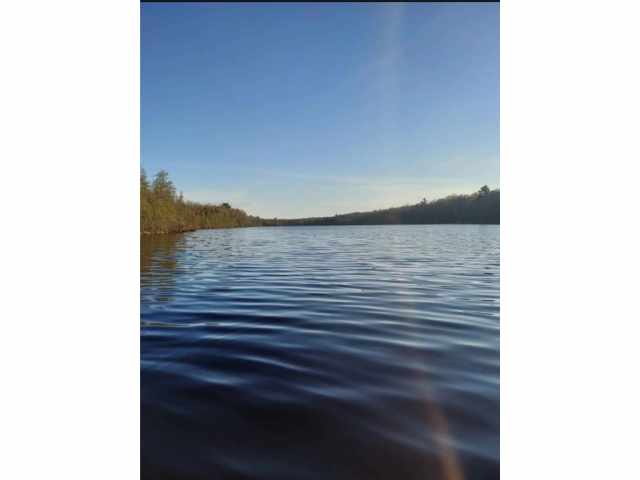 Bruce Residential Real Estate