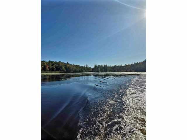 Bruce Residential Real Estate