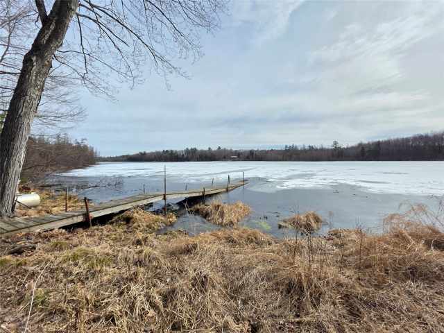 Bruce Residential Real Estate