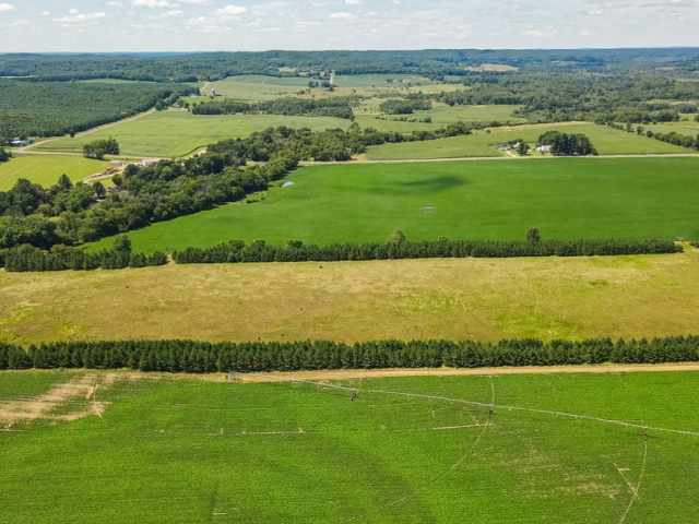 Boyceville Land Real Estate