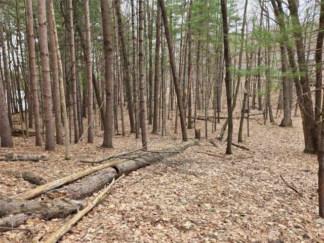 Menomonie Land Real Estate