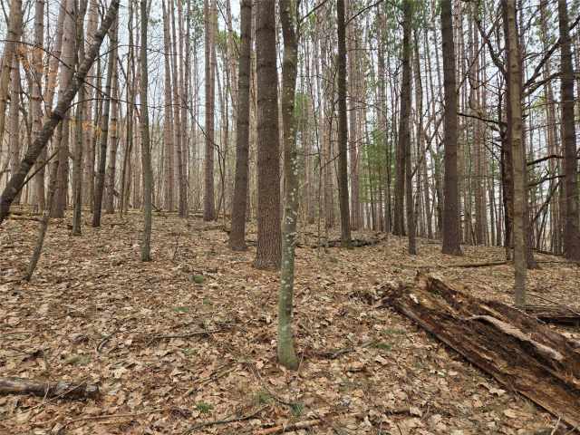 Menomonie Land Real Estate