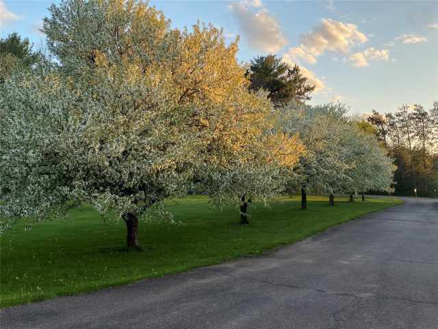 Elk Mound Residential Real Estate