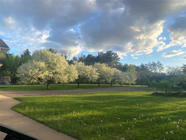 Elk Mound Residential Real Estate