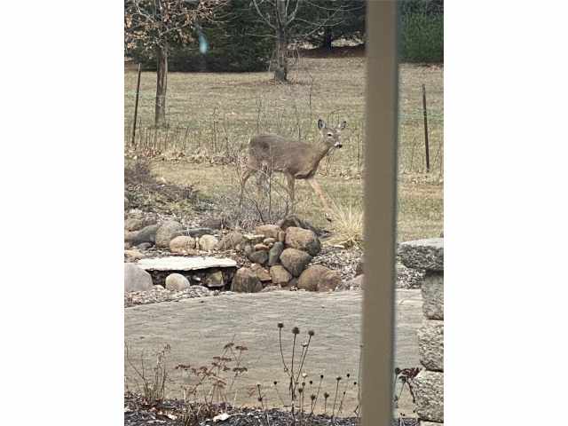 Elk Mound Residential Real Estate