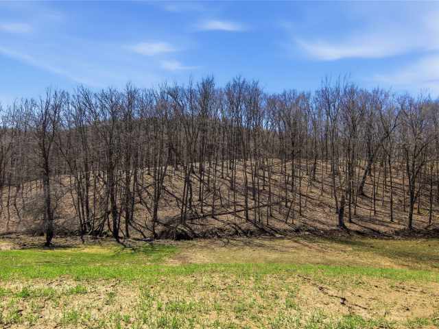 Glenwood City Residential Real Estate