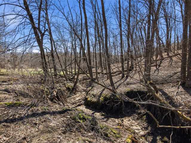 Glenwood City Residential Real Estate