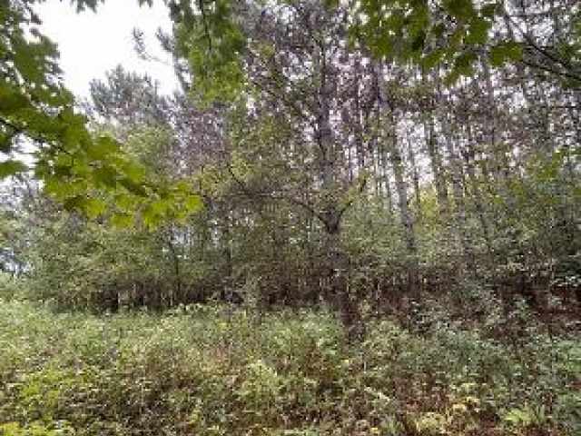 Colfax Land Real Estate