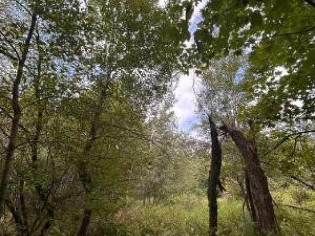Colfax Land Real Estate