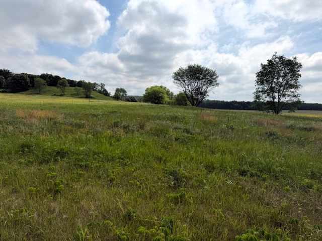 Boyceville Property for Sale