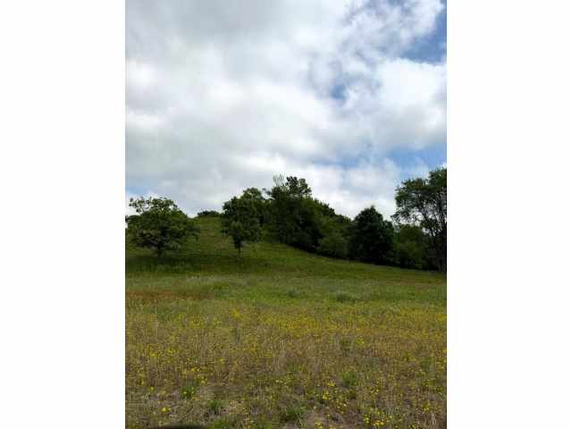 Boyceville Land Real Estate