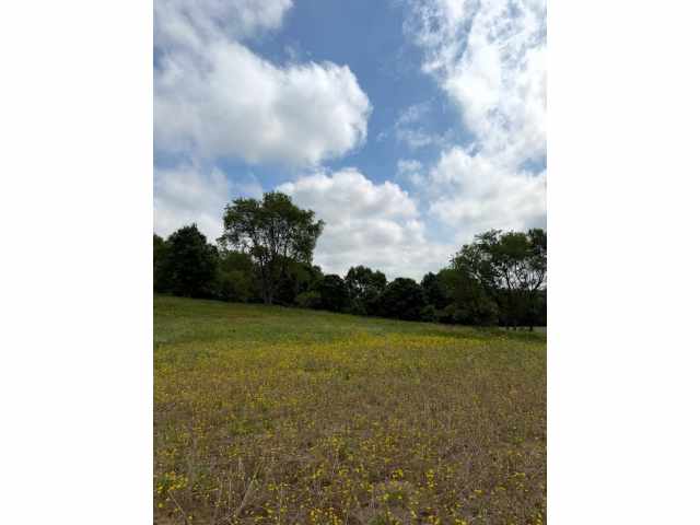 Boyceville Land Real Estate