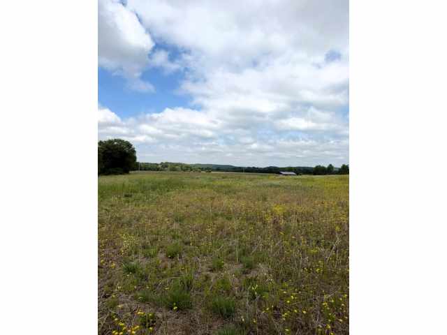 Boyceville Land Real Estate