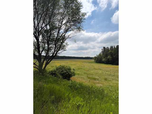 Boyceville Land Real Estate