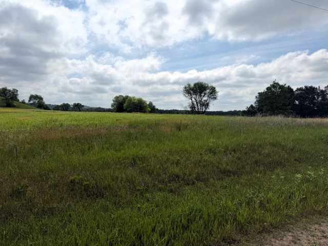 Boyceville Land Real Estate