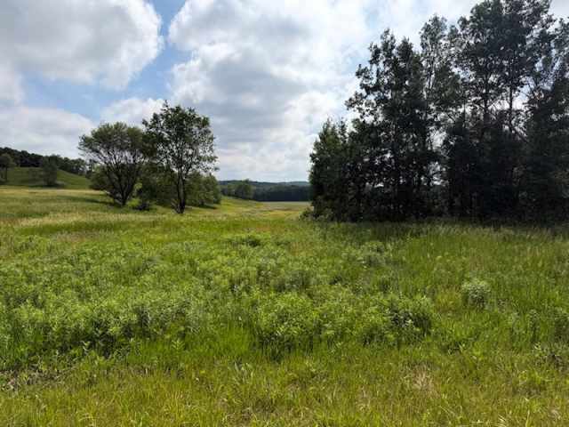 Boyceville Land Real Estate