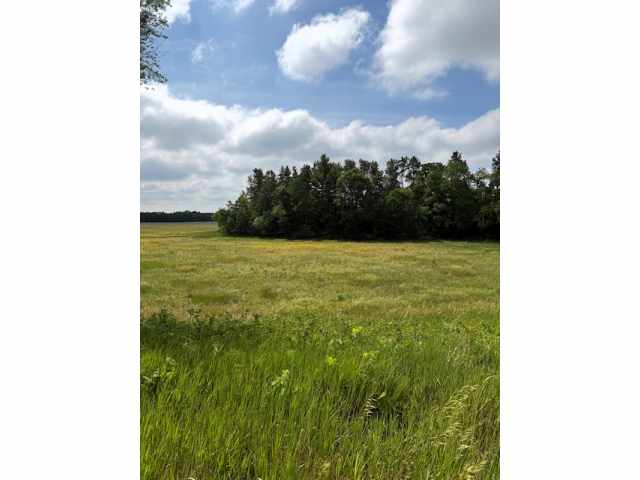 Boyceville Land Real Estate