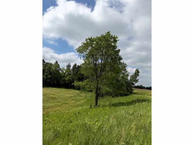 Boyceville Land Real Estate