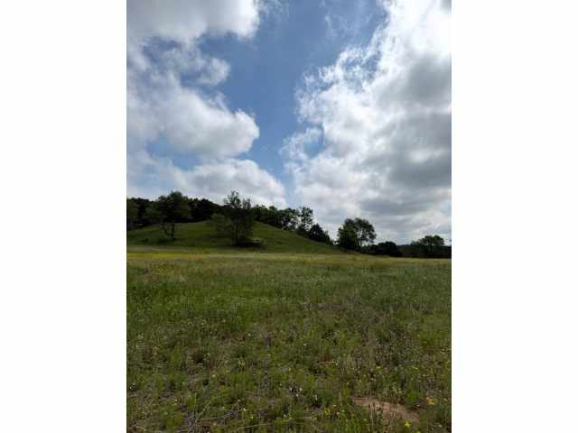 Boyceville Land Real Estate