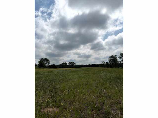 Boyceville Land Real Estate
