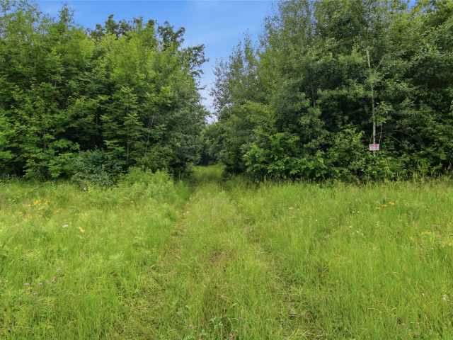 Clayton Land Real Estate