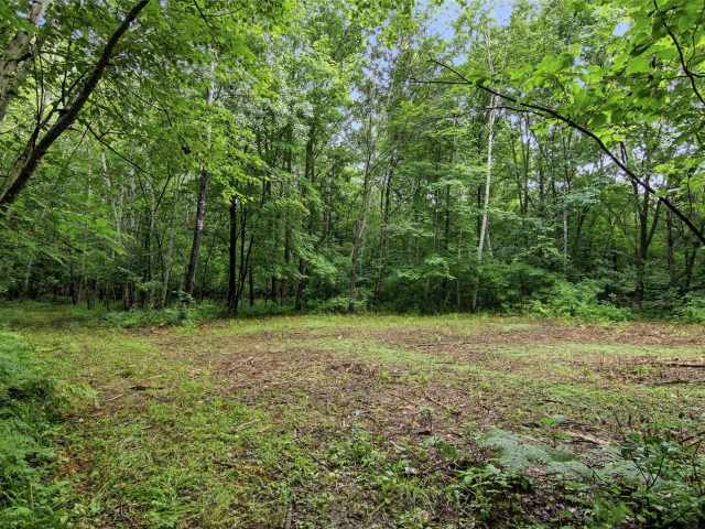 Clayton Land Real Estate