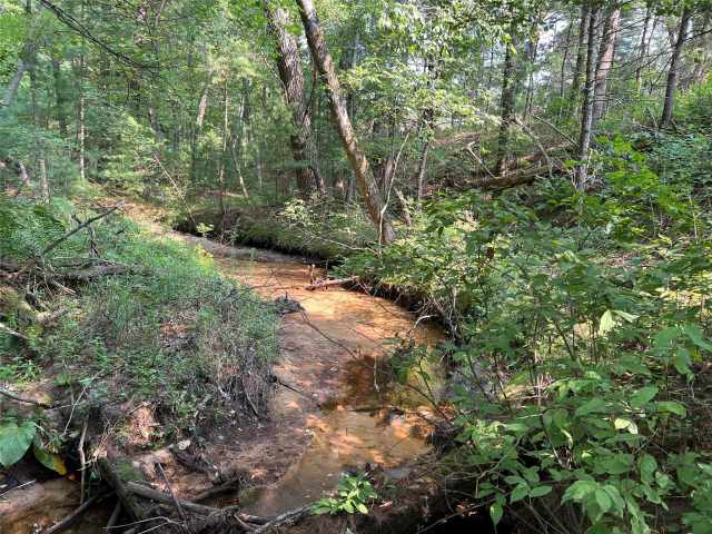 Black River Falls Residential Real Estate