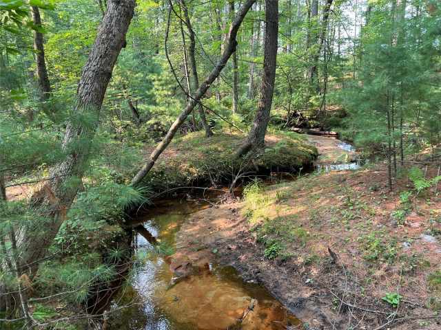 Black River Falls Residential Real Estate
