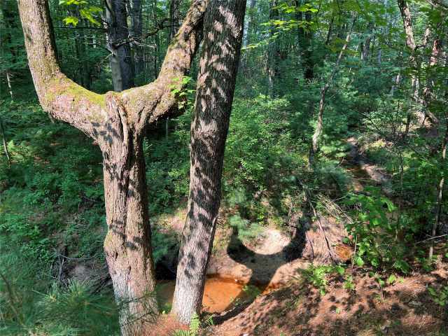 Black River Falls Residential Real Estate
