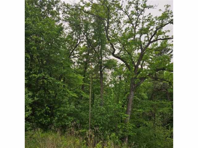 Elmwood Land Real Estate