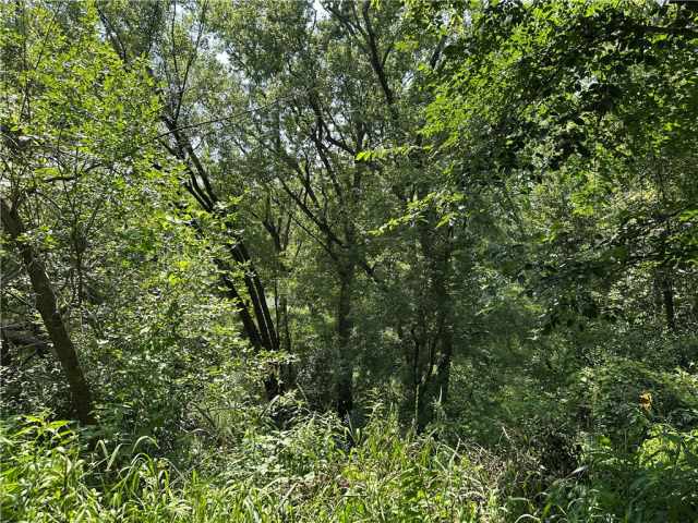 Colfax Residential Real Estate