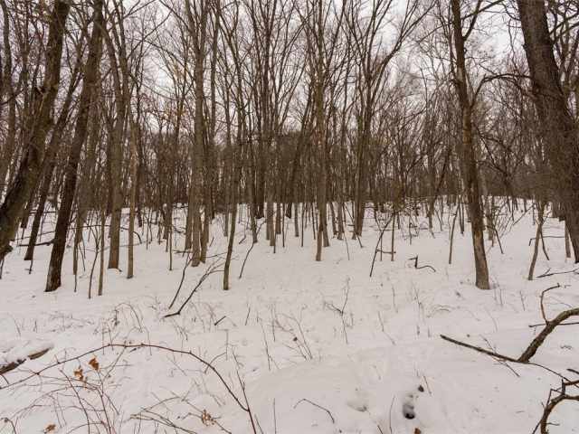 Wheeler Residential Real Estate