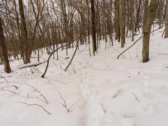 Wheeler Residential Real Estate