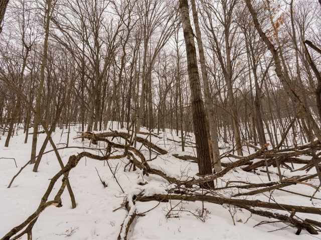 Wheeler Residential Real Estate