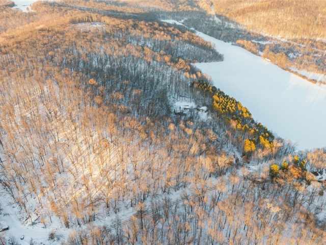 Wheeler Residential Real Estate