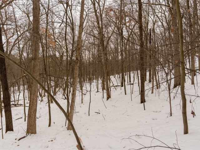 Wheeler Residential Real Estate