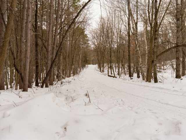 Wheeler Residential Real Estate