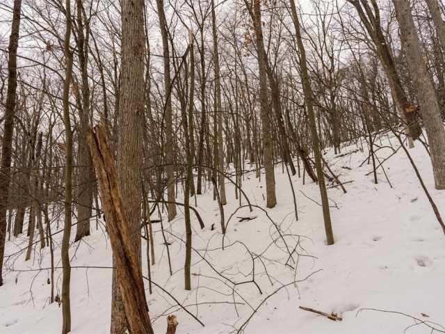 Wheeler Residential Real Estate