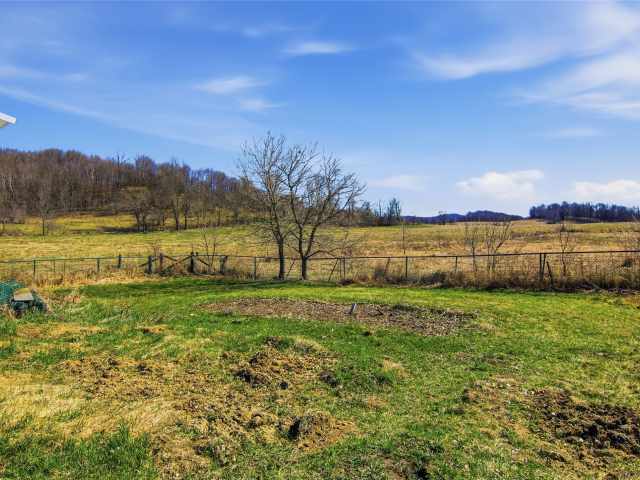 Boyceville Land Real Estate