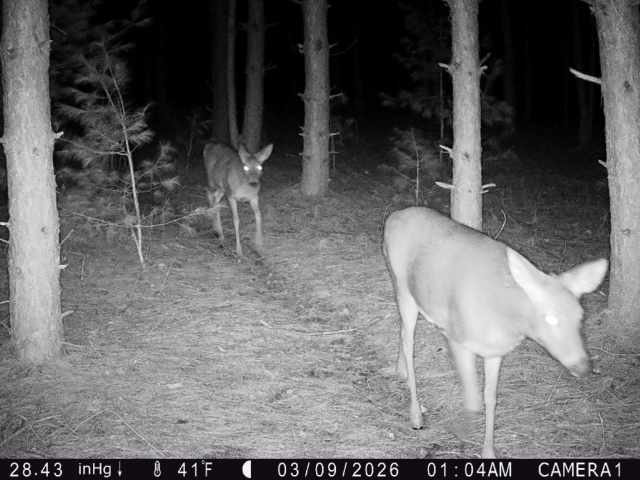 Colfax Land Real Estate