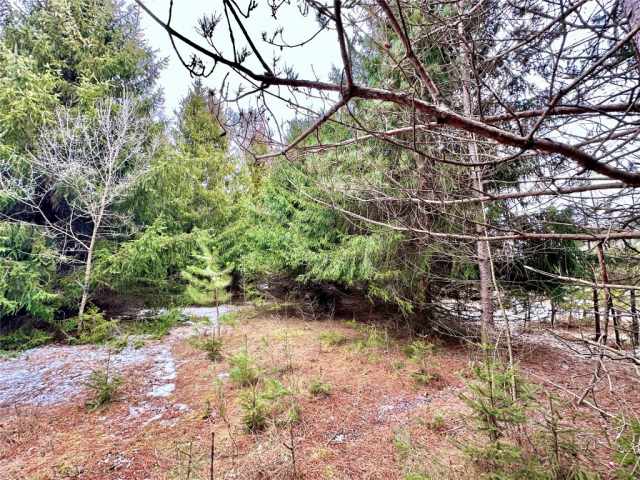 Colfax Land Real Estate