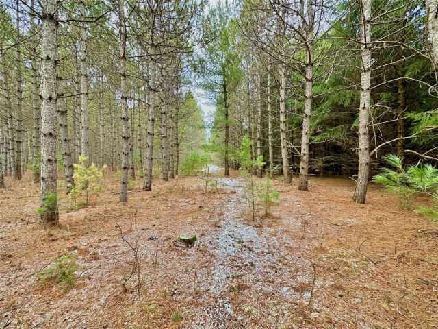 Colfax Land Real Estate