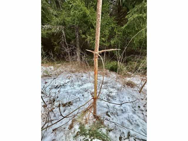 Colfax Land Real Estate