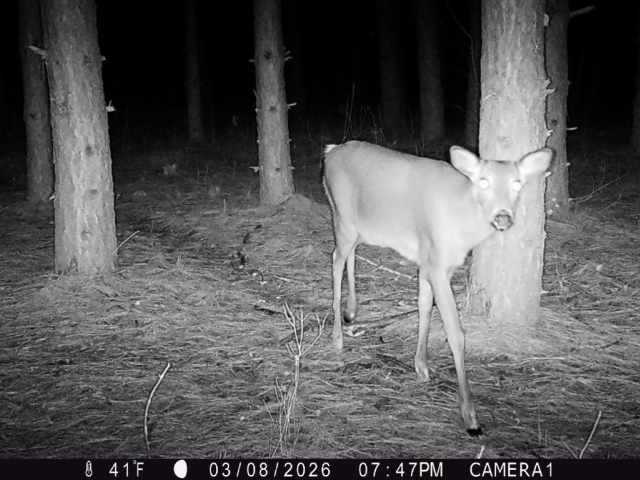 Colfax Land Real Estate